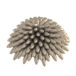 Phyllotactic Zoetrope Side