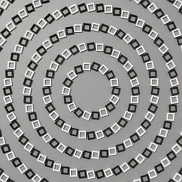 Pinna Concentric Illusion