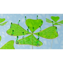 Shamrock Slower More