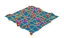 point function preview