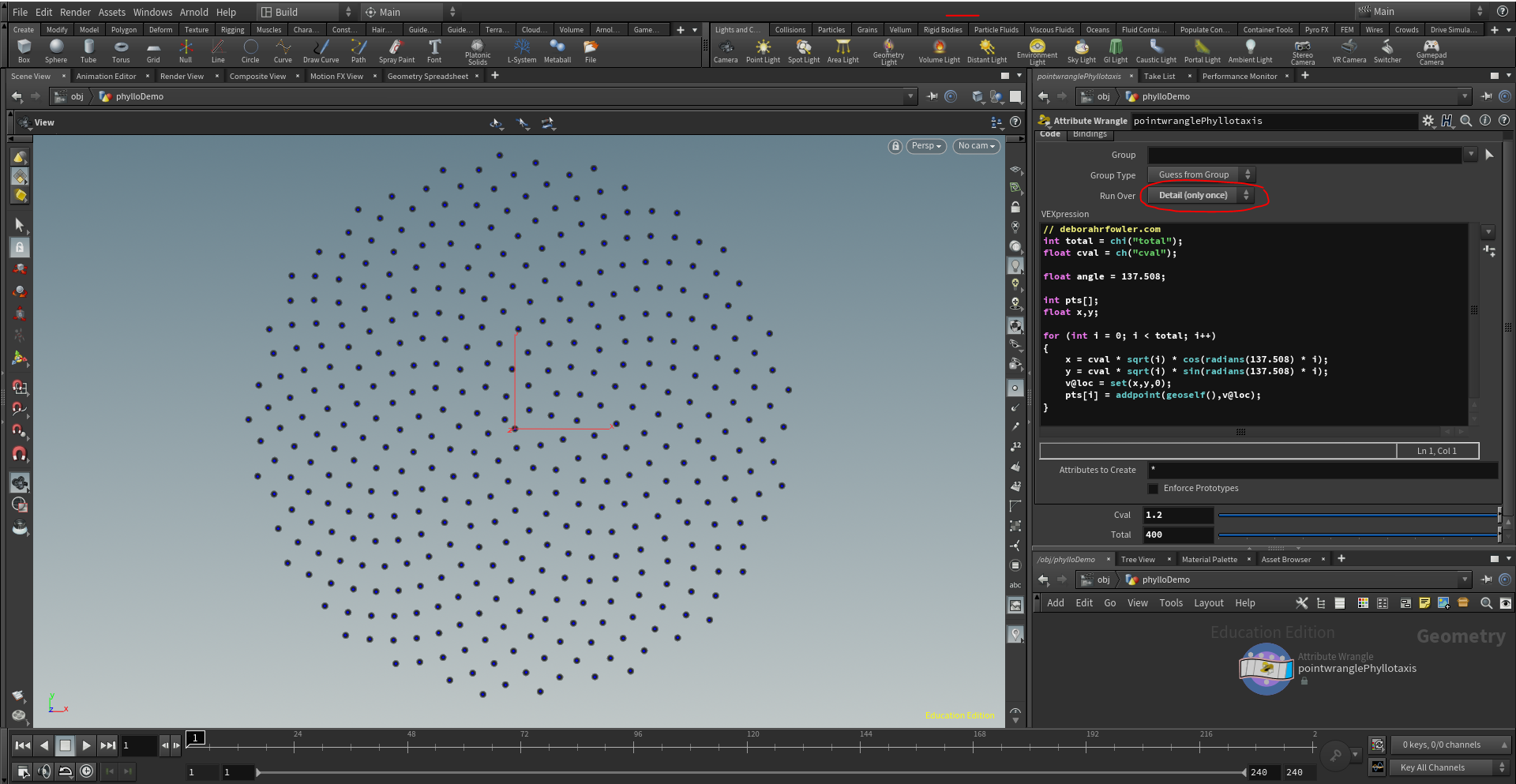 Phyllotactic Pattern